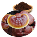 Natural Lucidum Ganoderma Powder LingZhi Extract Reishi Spore Powder